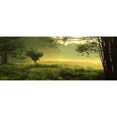 Tableau paysage sous bois au petit matin - 80x30 cm (1/5)