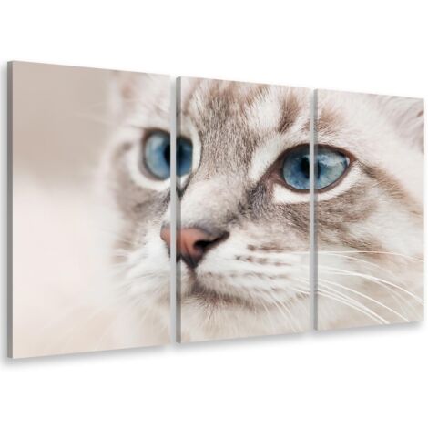Tableau triptyque animaux cat head - 90x60 cm (1/5)