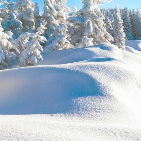 Tableau montagne trace dans la neige fraiche , 80x50cm