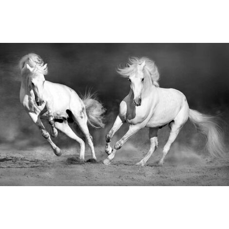 Tableau cheval camarguais noir et blanc , 80x50cm (1/5)