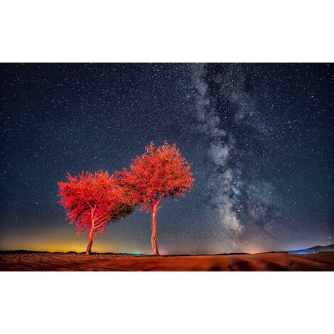 Tableau paysage beautiful clear starry sky - 80x50 cm (1/5)