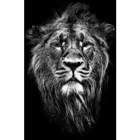 Tableau animaux portrait de lion noir et blanc - 50x80 cm (1/5)