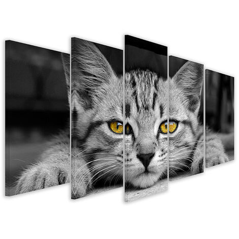 Tableau sweet chaton pr t a bondir 150x80cm