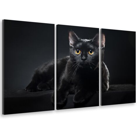 Tableau triptyque animaux petit chat noir aux yeux jaunes - 90x60 cm (1/5)