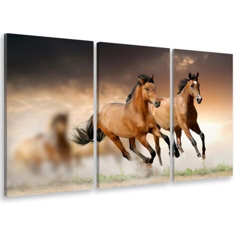 Tableau triptyque Tableau photo chevaux en plein galop - 90x60 cm (1/5)