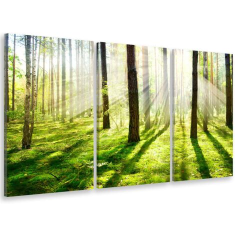 Tableau triptyque Tableau photo sous bois de jacinthes - 90x60 cm (1/5)