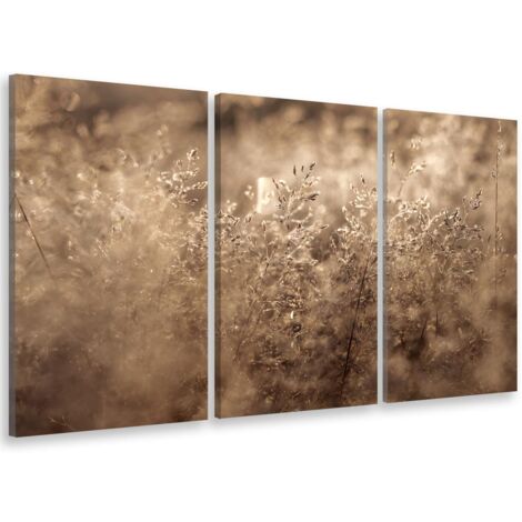 Tableau triptyque Tableau photo herbes séchées dans la lumière matinale - 90x60 cm (1/5)