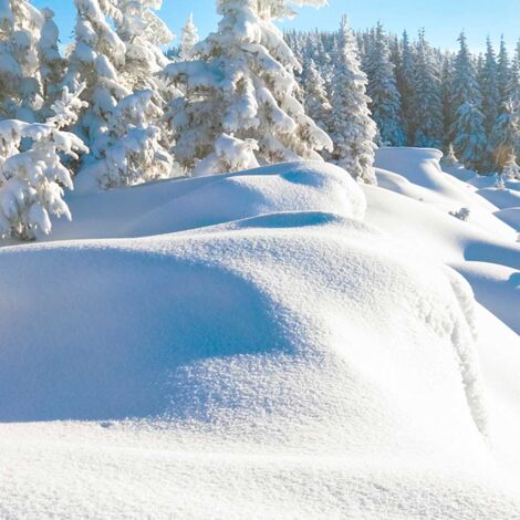 Tableau Trace dans La Neige Fraiche - Made in France - 80x50cm