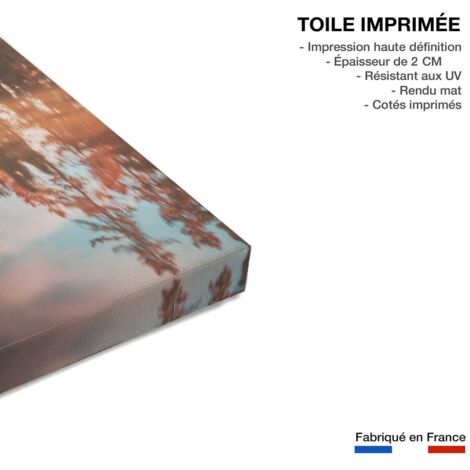 Tableau Mountain river - 50x80cm - made in France