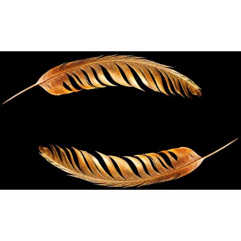 Tableau Plumes de bronze - 80x50cm - made in France (1/5)