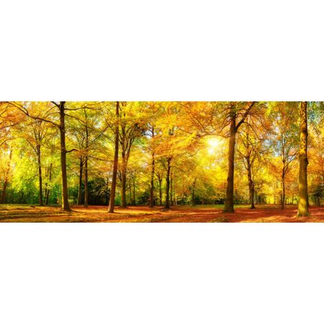 Tableau Sous bois en automne - 80x30cm - made in France (1/5)