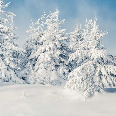 Tableau Neige fraiche au sommet - 80x30cm - made in France