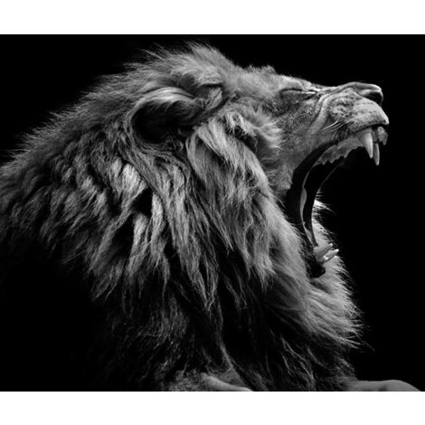 Tableau Baillement de lion - 80x50cm - made in France (1/5)