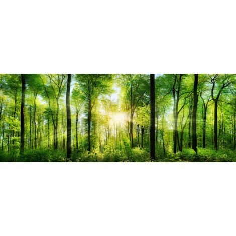 Tableau Sous bois ensoleillé - 80x30cm - made in France (1/5)