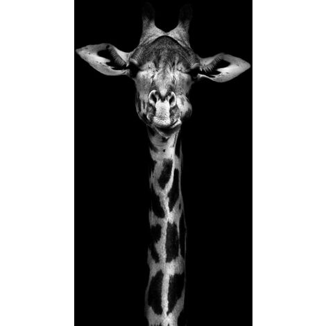 Tableau Girafe en noir et blanc - 50x80cm - made in France (1/5)