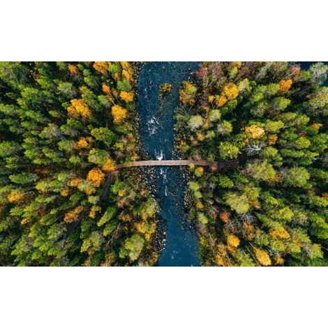 Tableau Pont de la rivière... - 80x50cm - made in France (1/5)