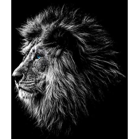 Tableau Lion aux yeux bleus - 80x50cm - made in France (1/5)
