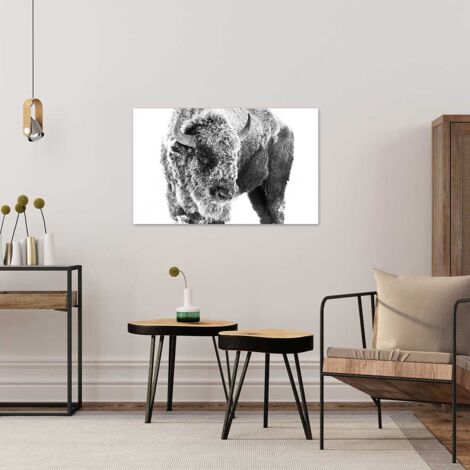 Tableau Bison dans la neige - 80x50cm - made in France