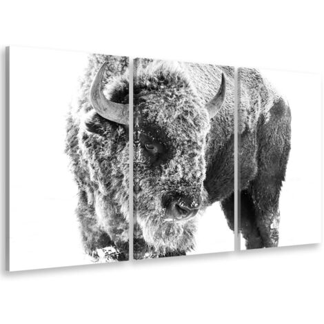 Tableau Bison dans la neige - 80x50cm - made in France