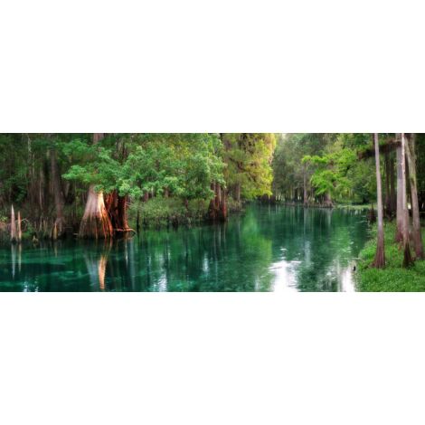 Tableau Nature sous l'eau - 80x30cm - made in France (1/5)