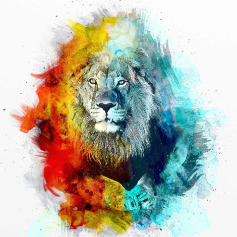 Tableau Lion et graff - 50x50cm - made in France (1/5)