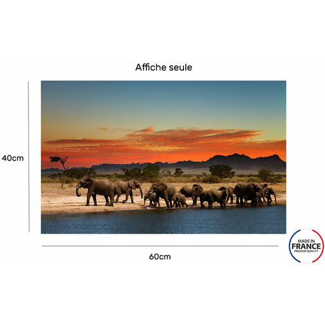 Cadre photo avec affiche - Animaux - Éléphant - Lion - 60x40 cm - Cadre  pour affiche | bol