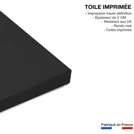 Tableau Plume dorée - 50x80cm - made in France