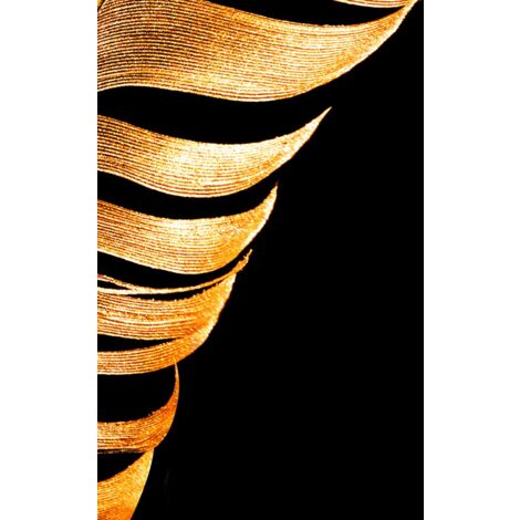 Tableau Plume dorée - 50x80cm - made in France