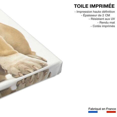 Tableau Portrait Bulldog anglais - 50x80cm - made in France