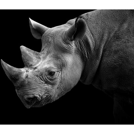 Tableau Portrait de rhino - 80x50cm - made in France (1/5)