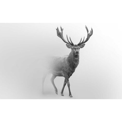 Tableau Cerf dans le brouillard - 80x50cm - made in France (1/5)