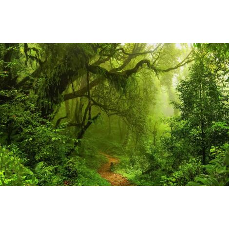 Tableau Sous bois mystérieux - 80x50cm - made in France (1/5)