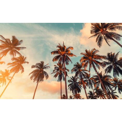 Tableau Sunset palm - 80x50cm - made in France