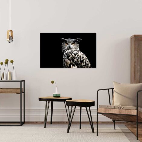Tableau Portrait d hibou - 80x50cm - made in France