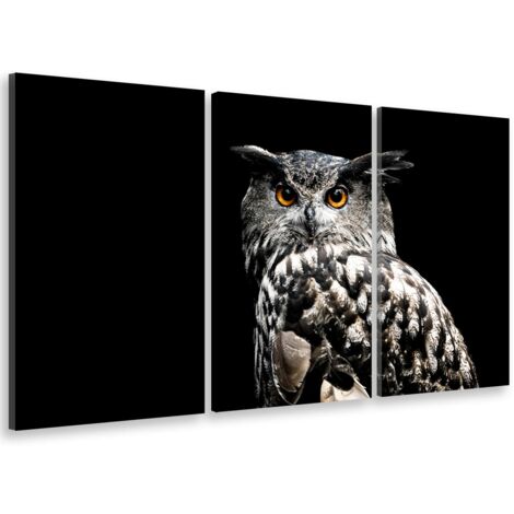 Tableau Portrait d hibou - 80x50cm - made in France