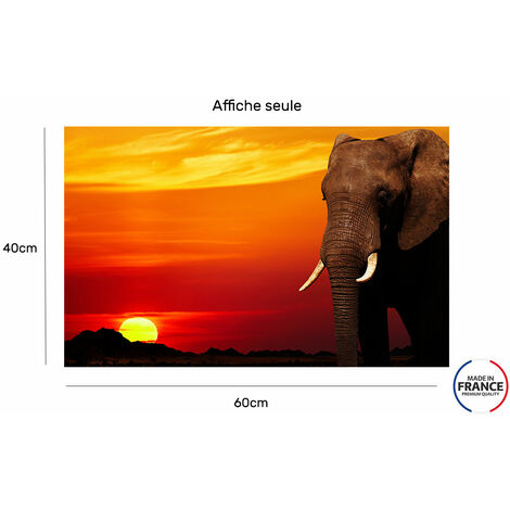 Cadre photo avec affiche - Animaux - Éléphant - Lion - 60x40 cm - Cadre  pour affiche | bol