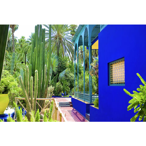 Tableau jardin majorelle Toile imprimée (1/5)