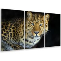 Tableau triptyque Tableau photo léopard de zanzibar - 90x60 cm