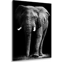 Tableau animaux un l phant d afrique Tableau photo noir et blanc