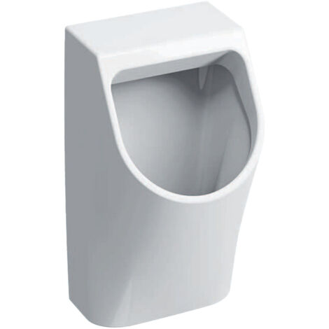 Geberit Renova Plan Urinal Zulauf von hinten, Abgang nach hinten, Tiefe 30cm, Zulauf hinten, Weiß