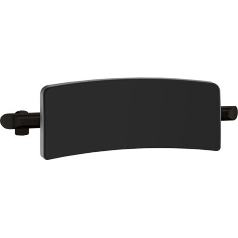 Delabie Rückenlehne Be-Line für WC Aluminium matt schwarz (1/2)