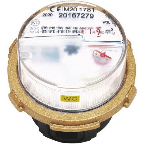 Wasserzähler Messkapsel Wassergeräte M66x1,25 MID Q3 2,5 Qn 1,5 inklusive Eichung
