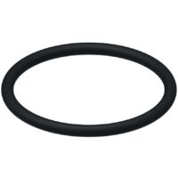 TECE 9820005 O-Ring für Ventilsitz A1-A2 für Füllventil