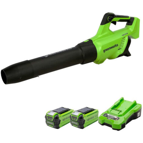 Souffleur 210 km/h 40V Brushless GREENWORKS - 2 Batteries 2,0Ah - Chargeur - GD40ABIIK2X (1/3)