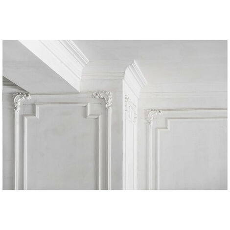 Plâtre à modeler PAREXLANKO - 2.5kg - 02803