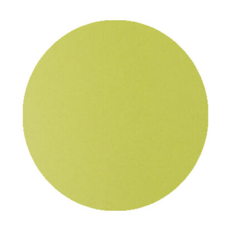 RYOBI Disque de lustrage pour polisseuse R18P-0 - 125 mm - RAKPPP01