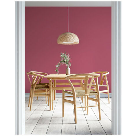 Peinture acrylique lessivable mat BARBOUILLE - Pour murs et plafonds - 2,5L - Rose Ex fan des 60’s