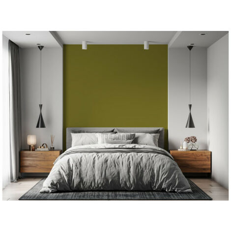 Peinture acrylique lessivable velours BARBOUILLE - Pour murs et plafonds - 5L - Vert Brexit