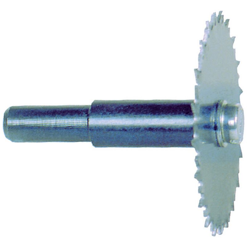 Polipo Di 3 Mm Nel Colon Sigmoideo - Foto 4