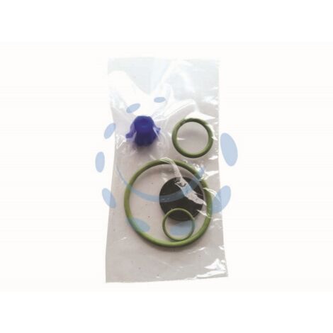 SET RICAMBI PER POMPE EROS VITON